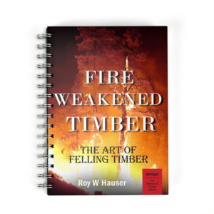 Abridged - Fire Weakened