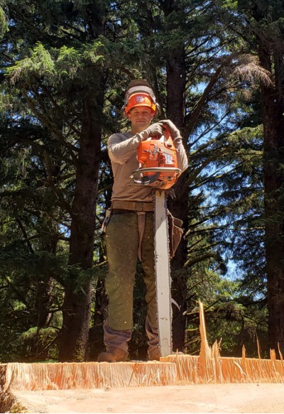 The Art of Felling Timber - Brad Roberds