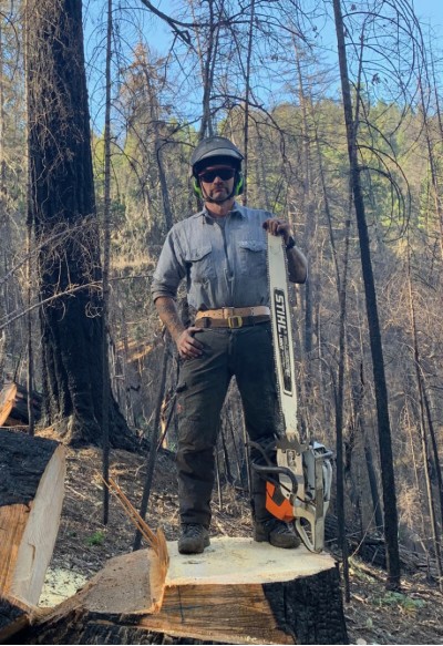 The Art of Felling Timber - Patrick Purdy